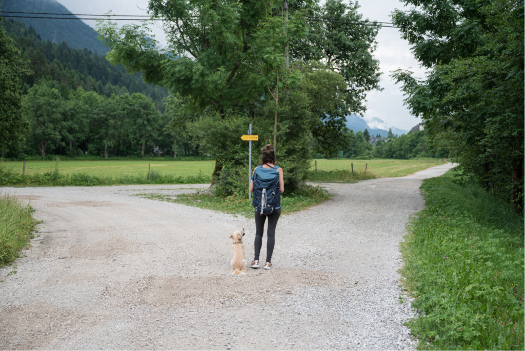 A person standing at a crossroads