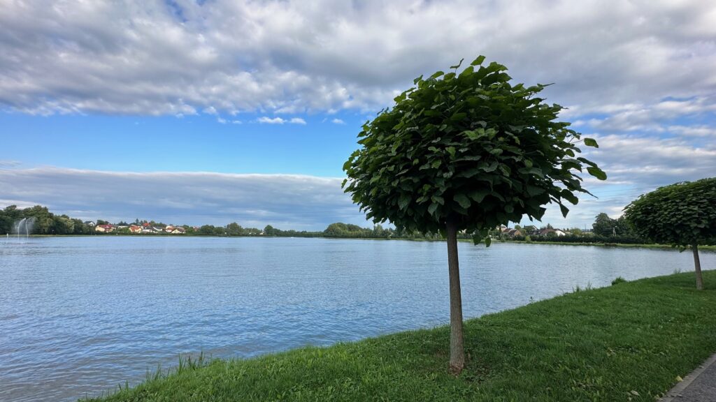 Lake Summer Relax Recharge