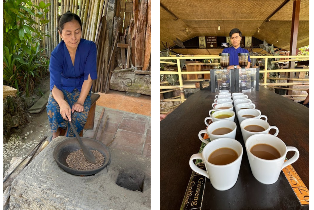 Luwak Coffee Plantation