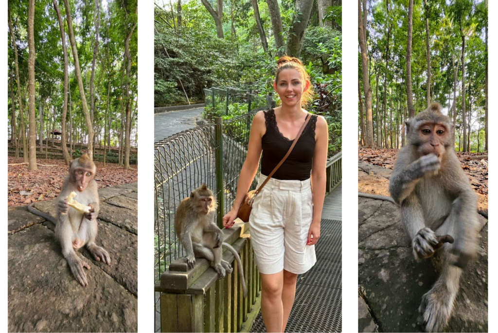 Monkey Forest Sanctuary