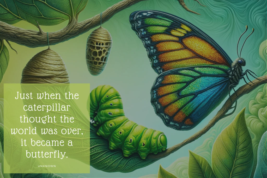 10. Just when the caterpillar thought the world was over, it became a butterfly. – Unknown
